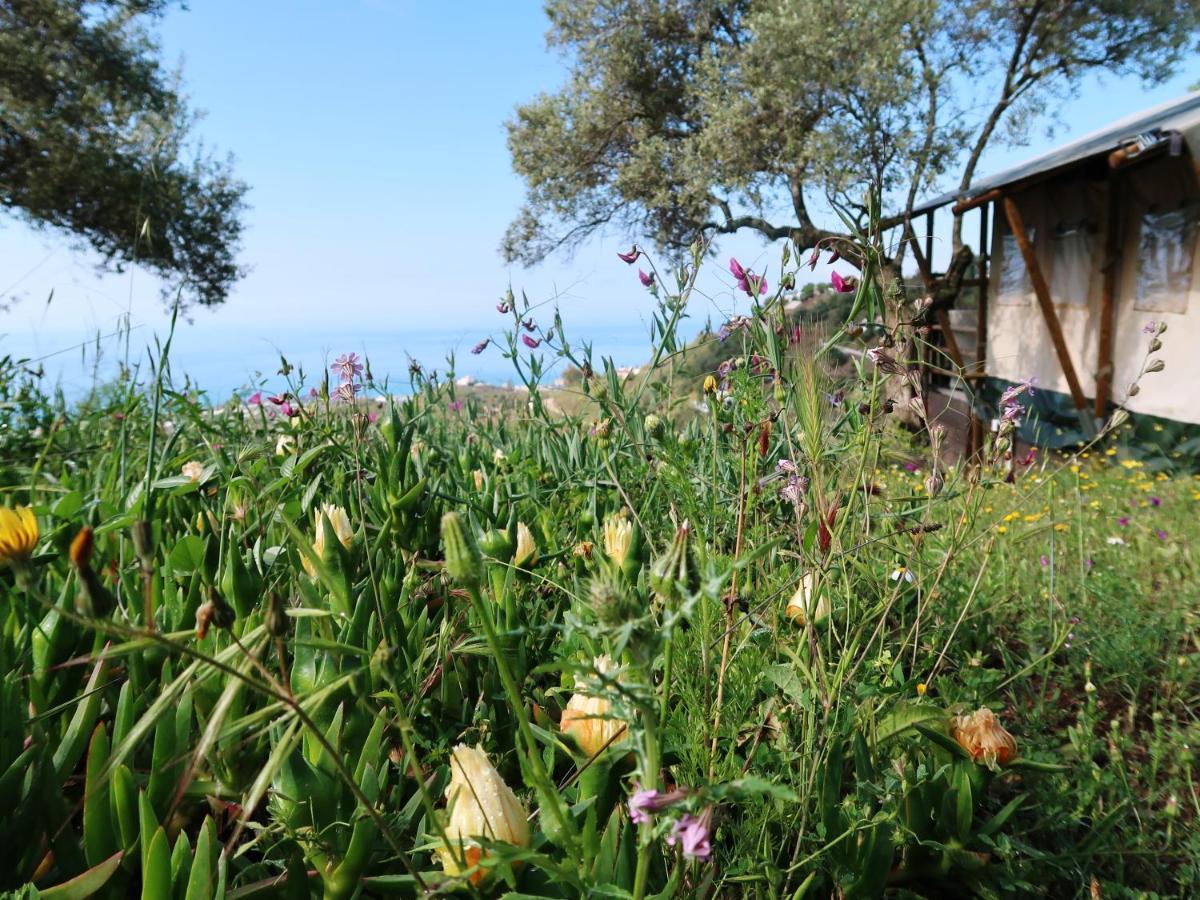 Campo Agave Luxury Tents Саялонга Экстерьер фото