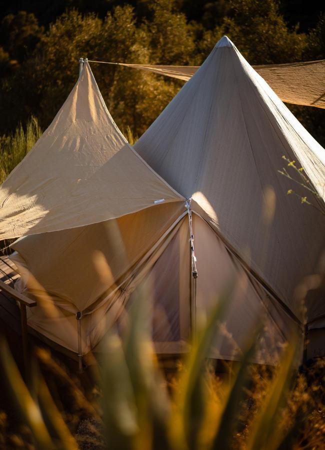Campo Agave Luxury Tents Саялонга Экстерьер фото