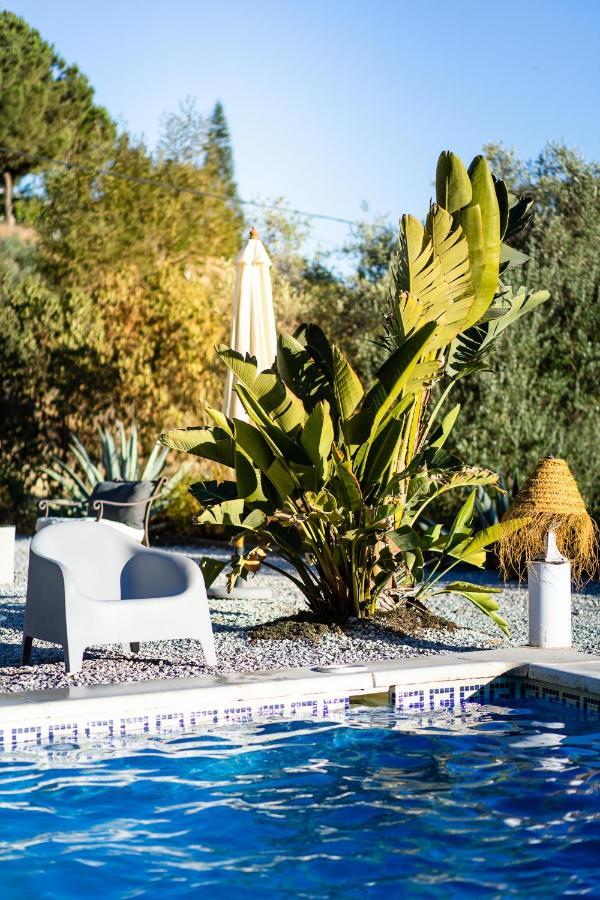 Campo Agave Luxury Tents Саялонга Экстерьер фото