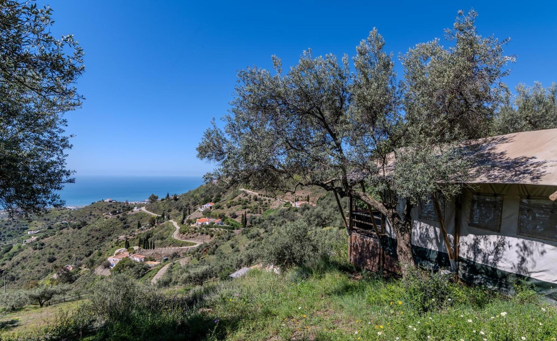 Campo Agave Luxury Tents Саялонга Экстерьер фото